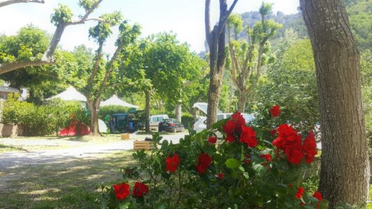 EMPLACEMENTS GROUPES CAMPING LA MUSE