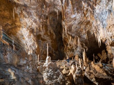 Grotte Préhistorique de Foissac (groupes)