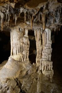 Grotte Préhistorique de Foissac (groupes)