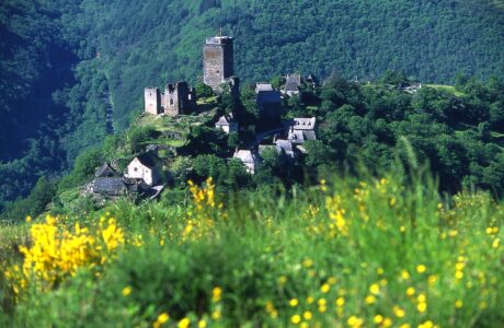 Château et village de Valon